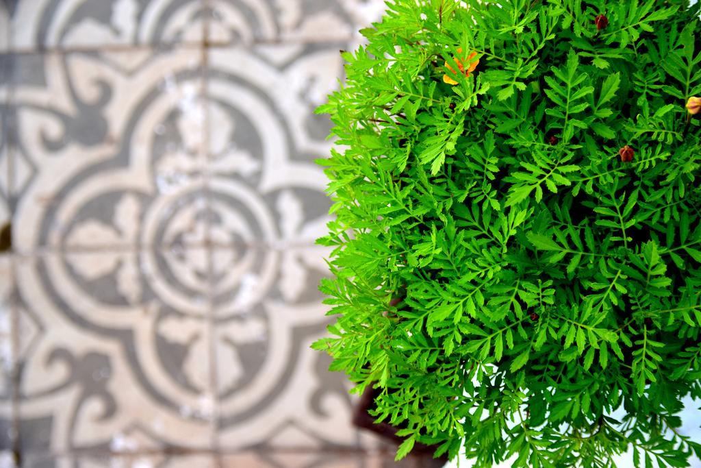 Riad Khmisa Tétouan Exterior foto